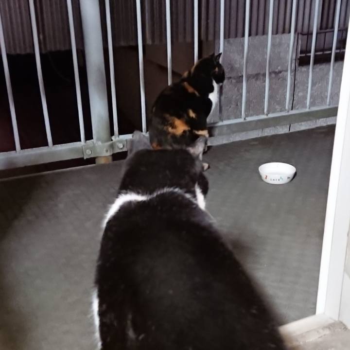 0733a90c f2dc 4938 9d27 3582222908ee 1668426174362