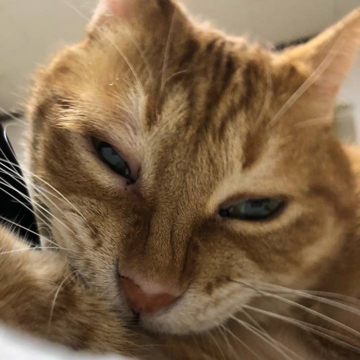 0733c096 31c9 426d b85d 2395eef6a057 1650276354022