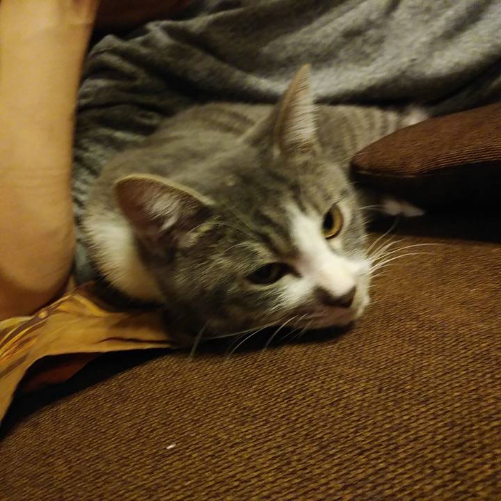 0733c9e6 6777 4e0e b75d 0a8b64cb5579 1574171829833