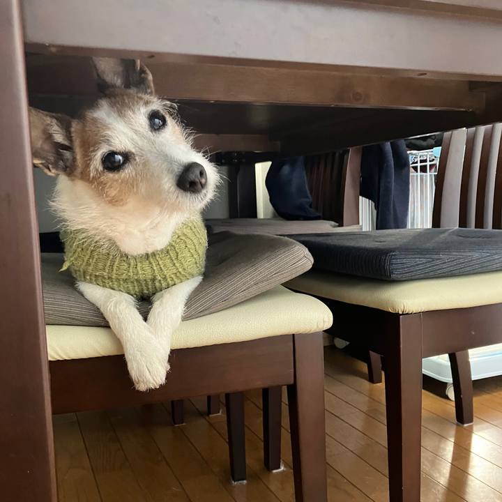 0733d1b2 25a3 46a3 bbf0 3302304c611f 1743722589500