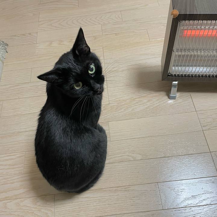 0733f037 a9aa 47b4 b9a6 d92d07c3195c 1640265216217