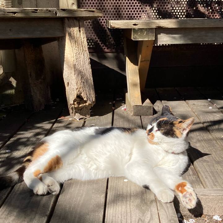 0733fa74 6f10 4046 aa48 0fde985e9ae6 1711519137300