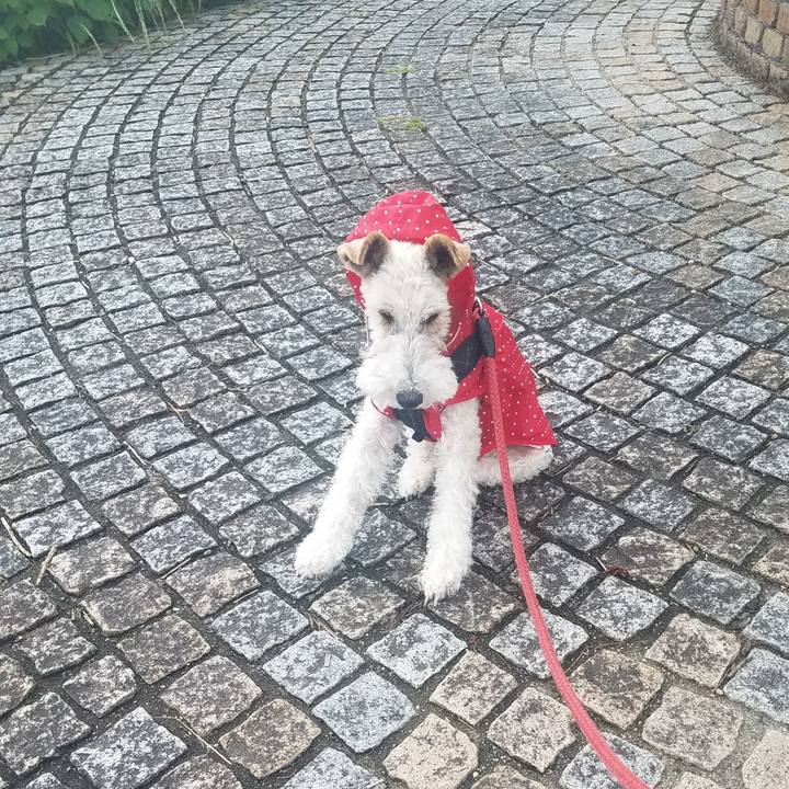 07340441 1b44 4a08 a954 6a855563e947 1594076719833