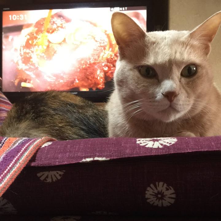 07340576 8966 42a2 a335 00355f69affd 1556069627709