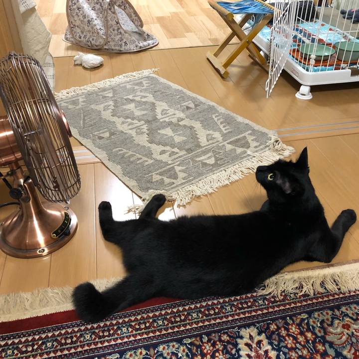 07342d65 28ed 46d4 9324 21c7e77ed83f 1527639251102