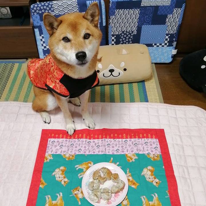 07342d90 f492 4a9c bb86 c097b96a8f22 1603959823562