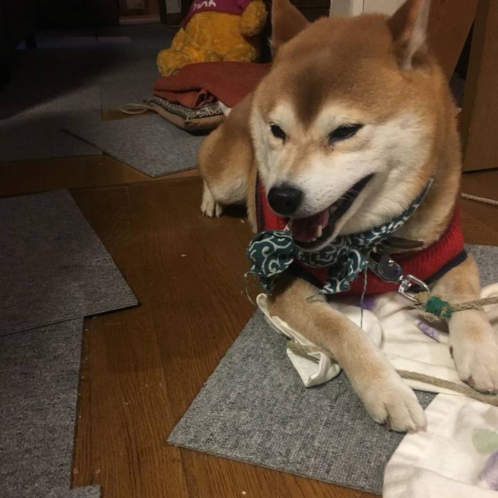 07347d43 b2e5 406c 956f 51d0ea4546be 1517477899273