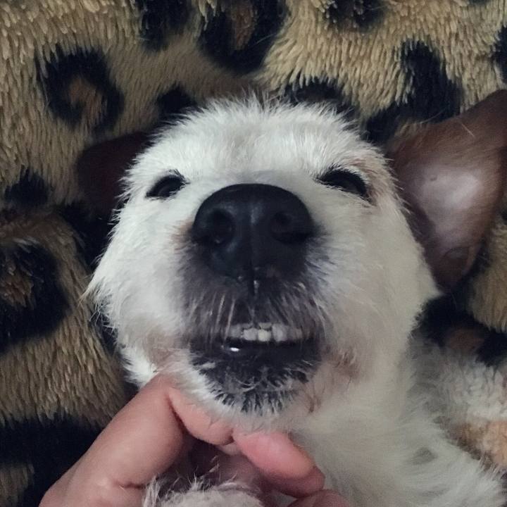 073480e0 b28e 490c bf8a 8b14c70a8ed0 1545436619447