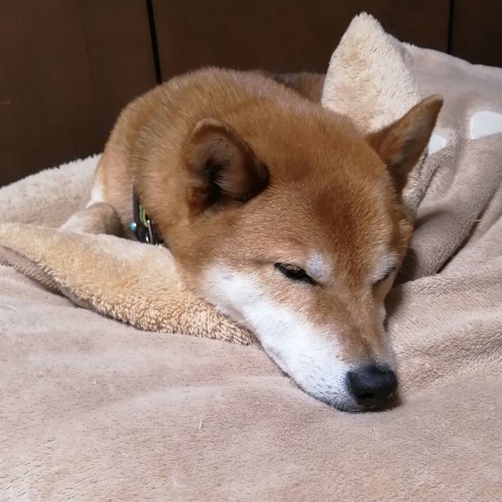 073498ea f91f 46d9 be41 1cd51fa3242b 1619443364133