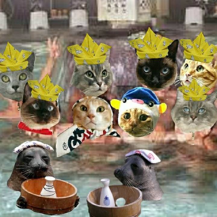 07349c07 a5d8 4c2b baa4 98384f840c14 1525512808454