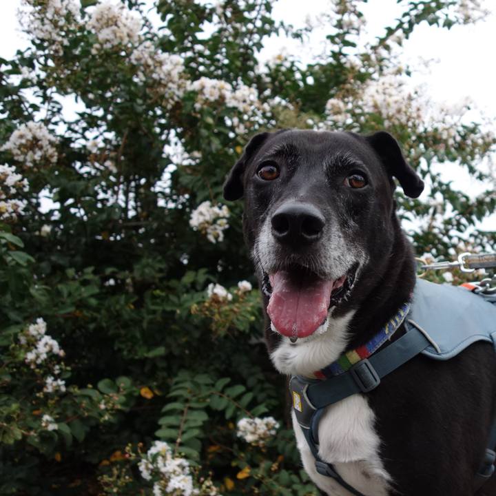 0734b076 4db9 4360 a68d 0c4c3ce0c317 1727655357516