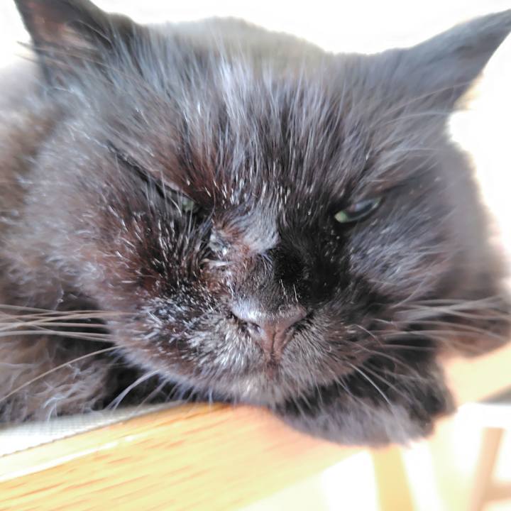 07350a9f 228d 4cb8 b670 6fb3a6971b17 1721515887015