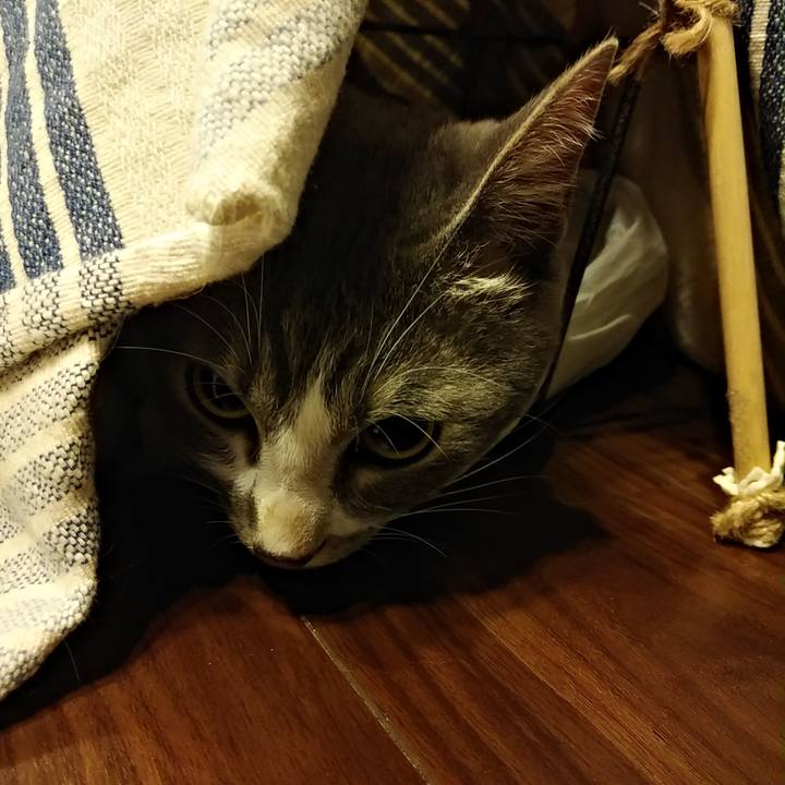 07350edd 1cee 4ae2 9ed1 4556952523ae 1594474360250