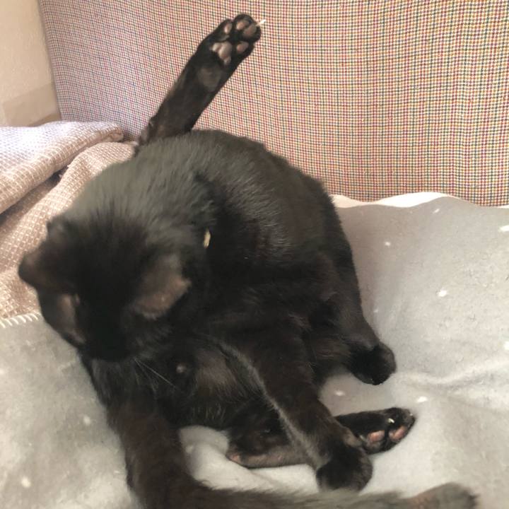 0735b4a7 8d2d 4f80 925a a5c602cae6ce 1614518618771