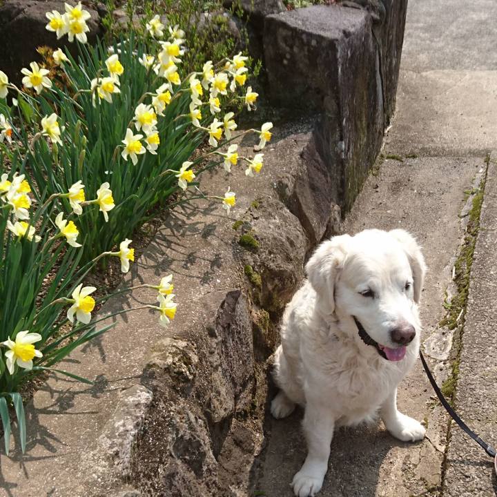 0735b786 3c31 4e34 857b 6c6985da243e 1521954954328