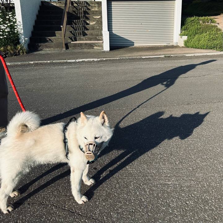 0735c5ab 57c5 4ac4 8b4c 8e352665d4f2 1687729478430