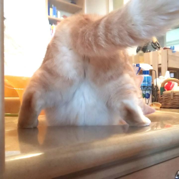 0735cbb8 6cab 4e3c 9faf e52cd223fe88 1551672422627