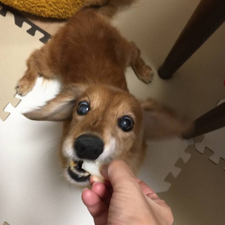 0735d5d1 1676 44da afe5 87b94eb9d646 1628162777550