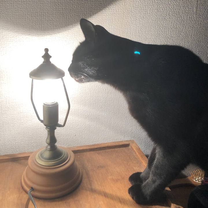 0735ea4b ab59 4ca9 86a3 38fc59f236a6 1673166544325