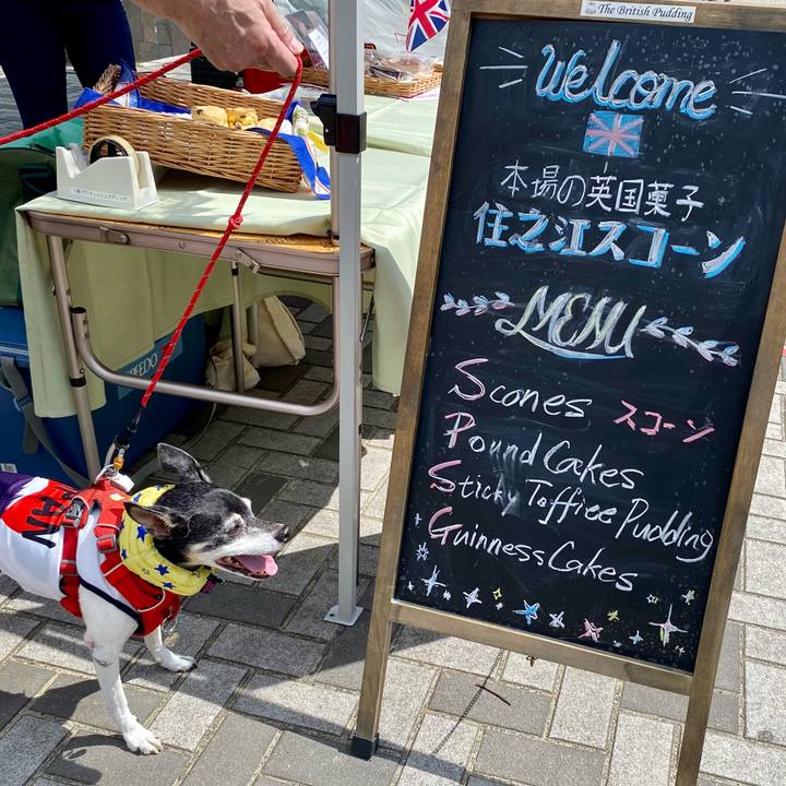 0735ed4f 3324 4462 9d48 df4bc064fd38 1627135824614