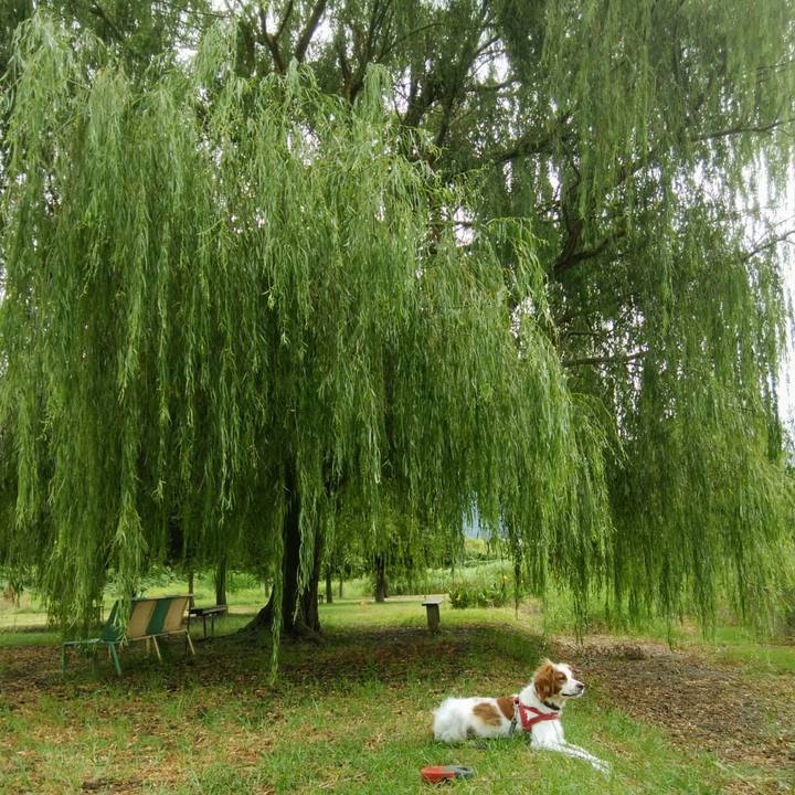 0735f2ce 95a4 4d72 ad99 b9fe74d7167e 1535784934856