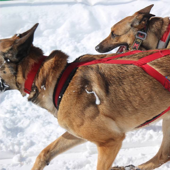 0736524a cf88 483d 8862 9fc4110914c7 1519793397377