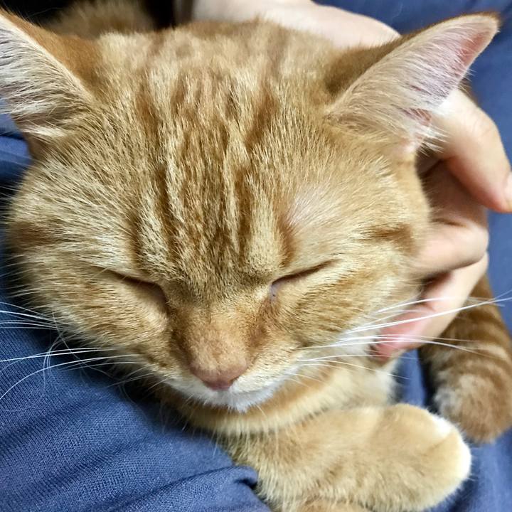 07368154 a562 4739 b66b f5b019e8dd7f 1508671621380