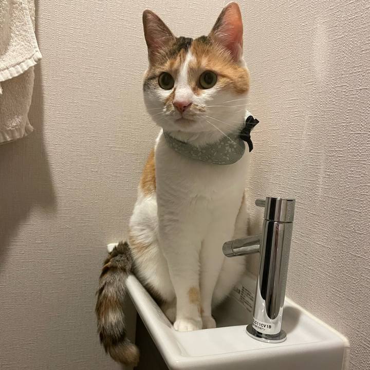 07368a6b 176e 43d1 b37f e04b763733a0 1684319850199