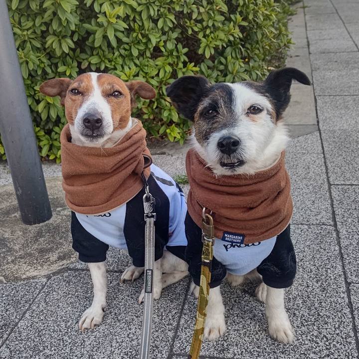 07369a80 e2fe 4dbe ae25 35d5539c7a89 1710890017439