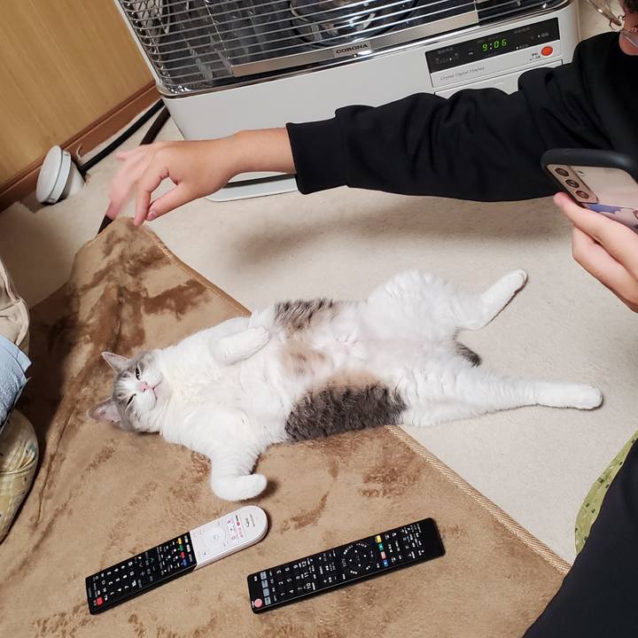 0736ad74 ce68 4760 bbf0 b77fb1eeeddd 1721316677156