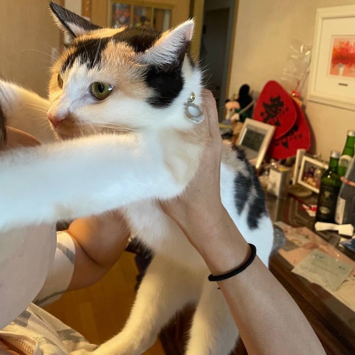 0736f39f b8e6 46be 88d9 fae3684b5060 1691322503314