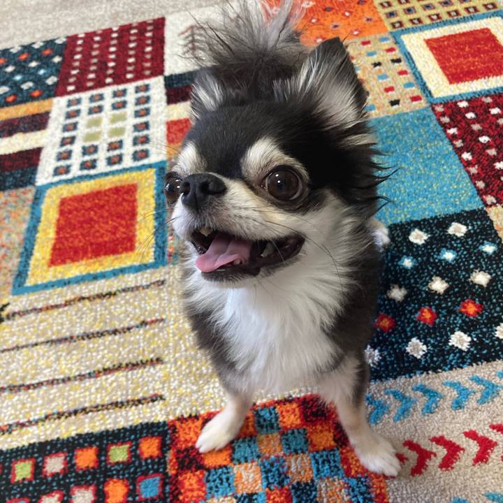 0736fbf7 0f85 42b3 ad1f 719d8728c222 1691937048744