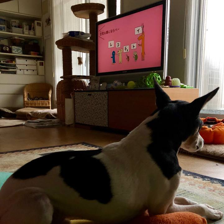 0737083a 6e1d 4e85 a62d fa0062d65db7 1550095528226