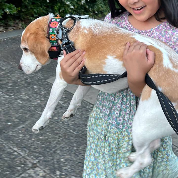 07371de2 d070 4b90 8884 a7e9eb5e14fa 1754755298905