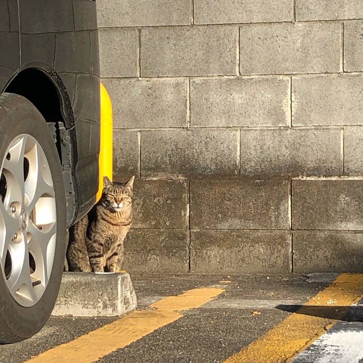 07372a9e f356 4ff9 a990 91cc3a5ae0fa 1609362812909