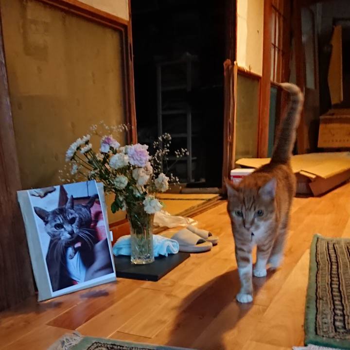 07372e71 733d 4e76 9966 58eaa70a7a36 1599727959042