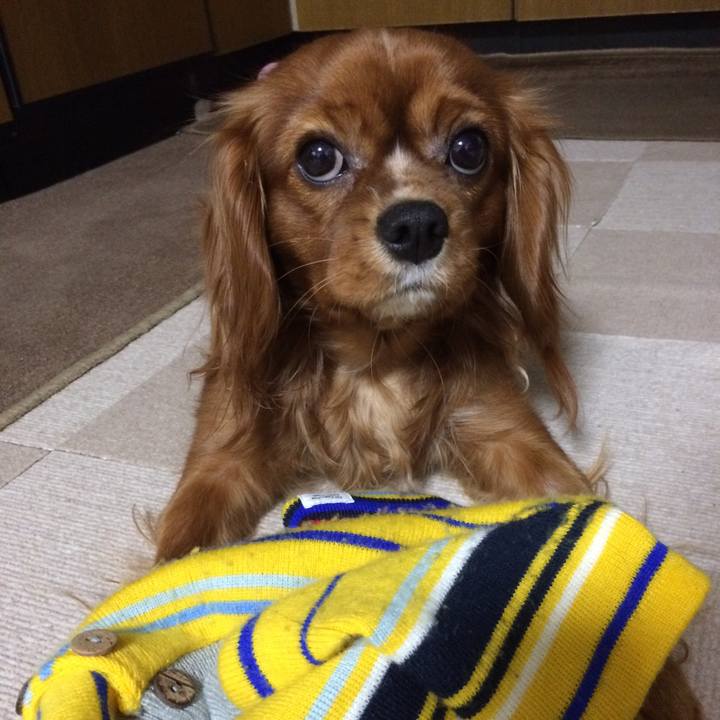 073731c1 efc5 49a4 8bdd 00b387bd8439 1539528536461