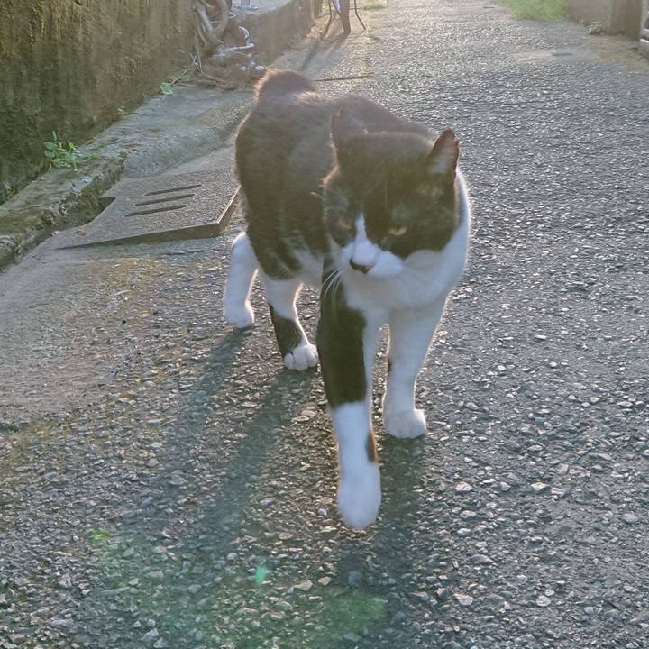 07374952 0576 4431 aabd 3ceb131422a5 1660133272553