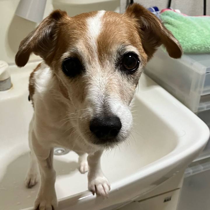 07375acc 5438 499a 9fd7 babc02bec6d2 1699450130725