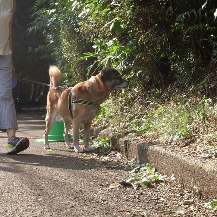 073767c2 85ad 423b 92d1 6b180419f912 1589763411283