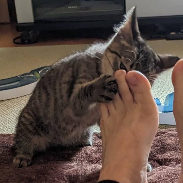 07377f6e 4c6b 49a3 87af 89143d6397f2 1702524738912