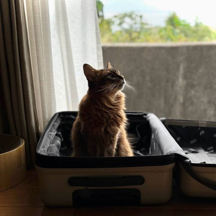 0737cbb2 87b6 410a b0df 18f1db1f20bd 1758938617283