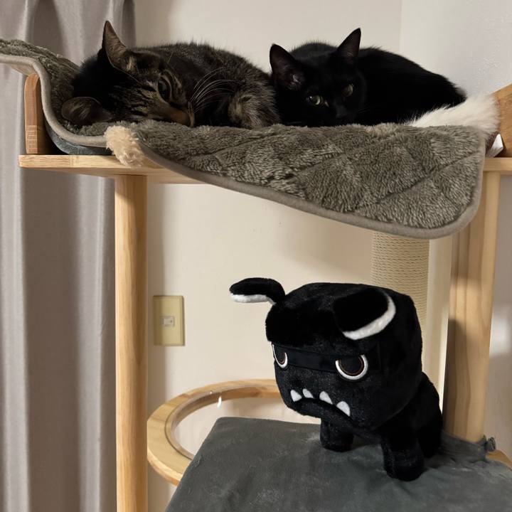 0737d274 9093 4495 b766 6c4632a89511 1765969988936