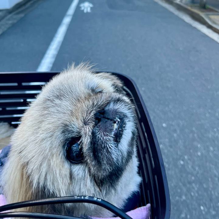 0737d93c ac5f 49f5 8767 4b0ea815be67 1752484306097