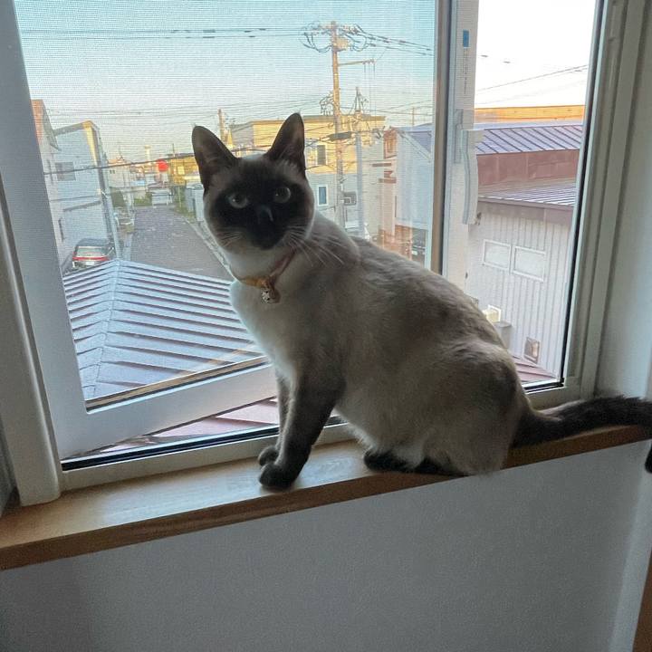 0737e9a1 d0a7 4d4b 98ef 89c092fb6d14 1721851821685