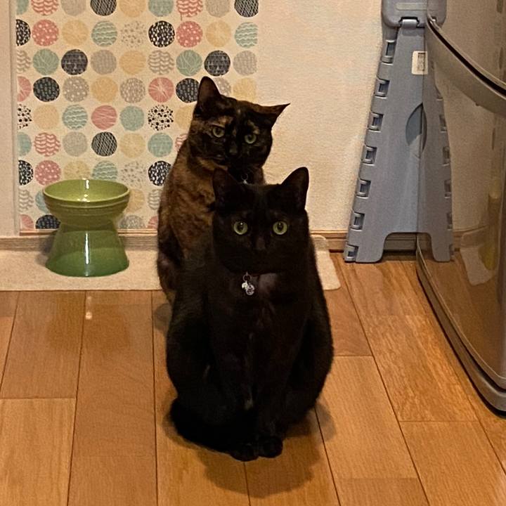 0737f4f9 1609 45c4 abef 82aae7b98ad9 1680484805047