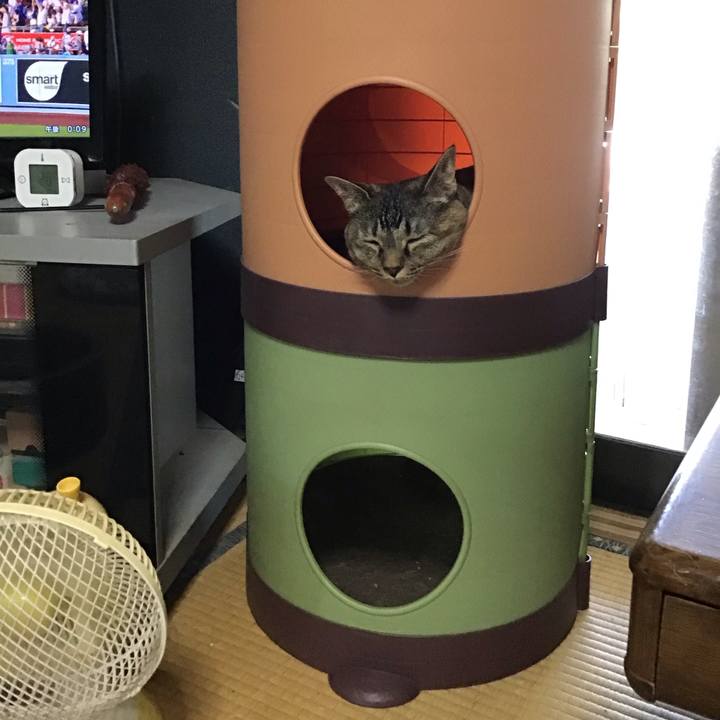 0738947c ac00 40a0 880b 057abd593a39 1720329663676