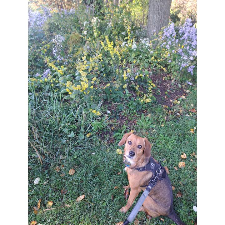 0738c0c3 2aa2 457c 9558 0c5f66b8da92 1759527811594