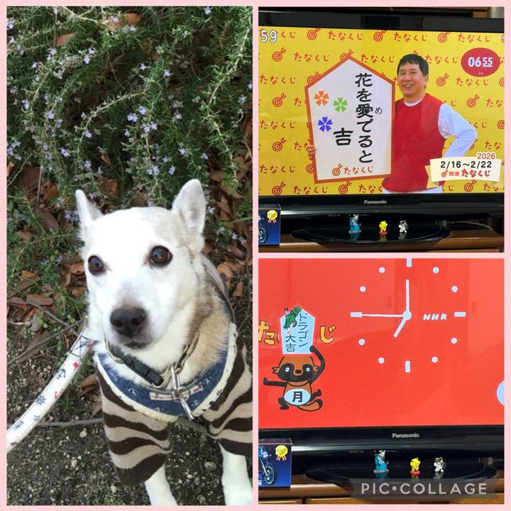 0738ed84 e5df 464d 95b0 3bd76fa4a7eb 1771193396151