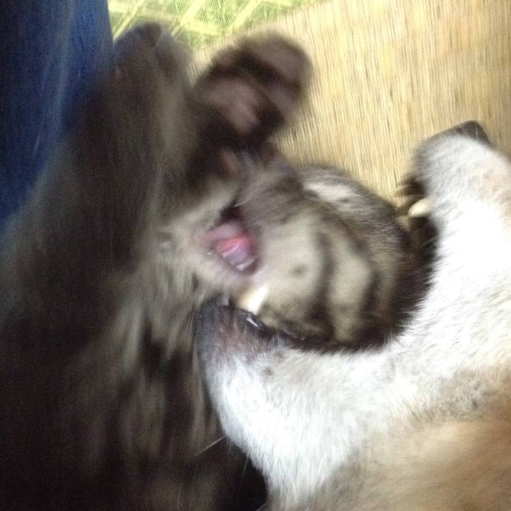 07391b5e 8897 4c8d 9d7a 54ac6f080f41 1527498228540